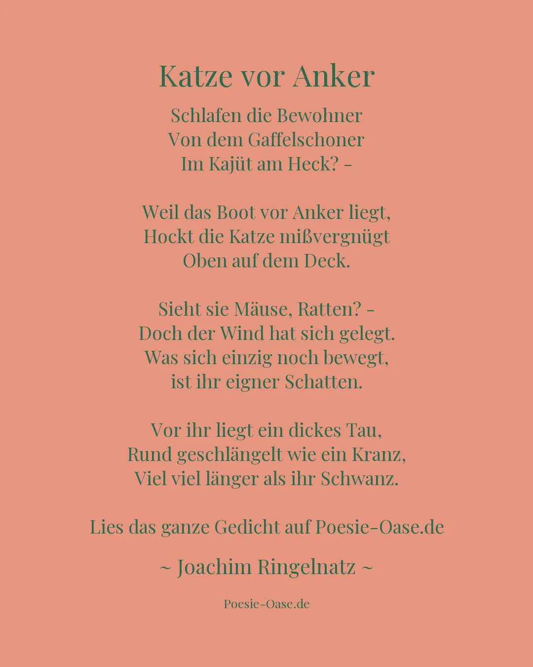 Illustration zu Katze vor Anker