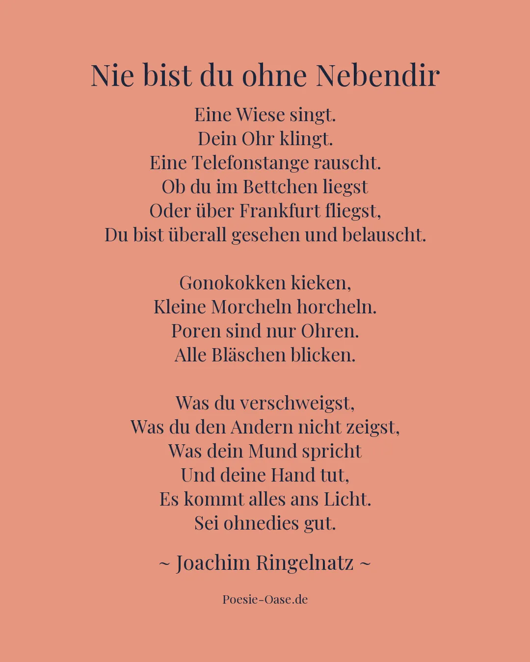 Illustration zu Nie bist du ohne Nebendir