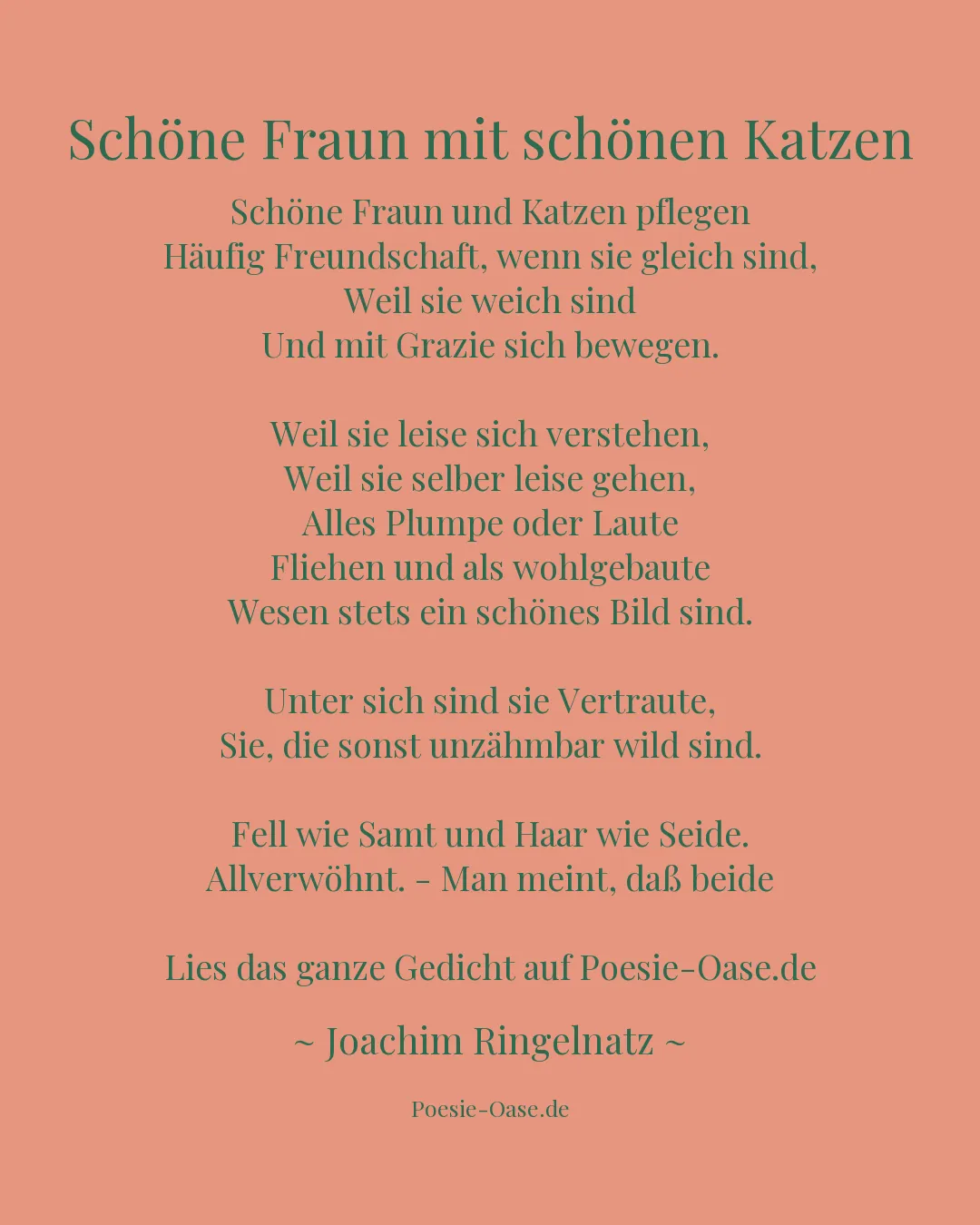 Illustration zu Schöne Fraun mit schönen Katzen
