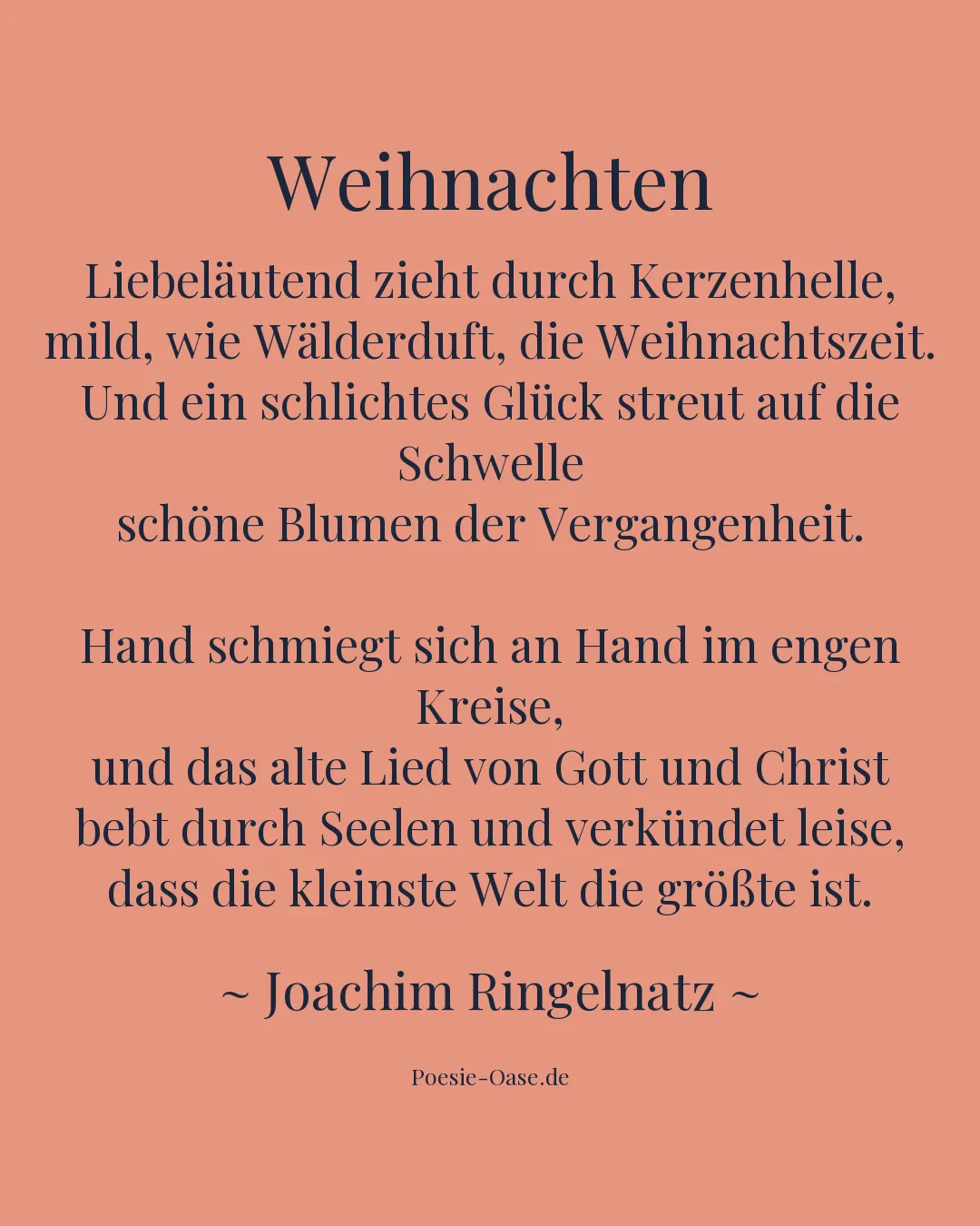 Illustration zu Weihnachten