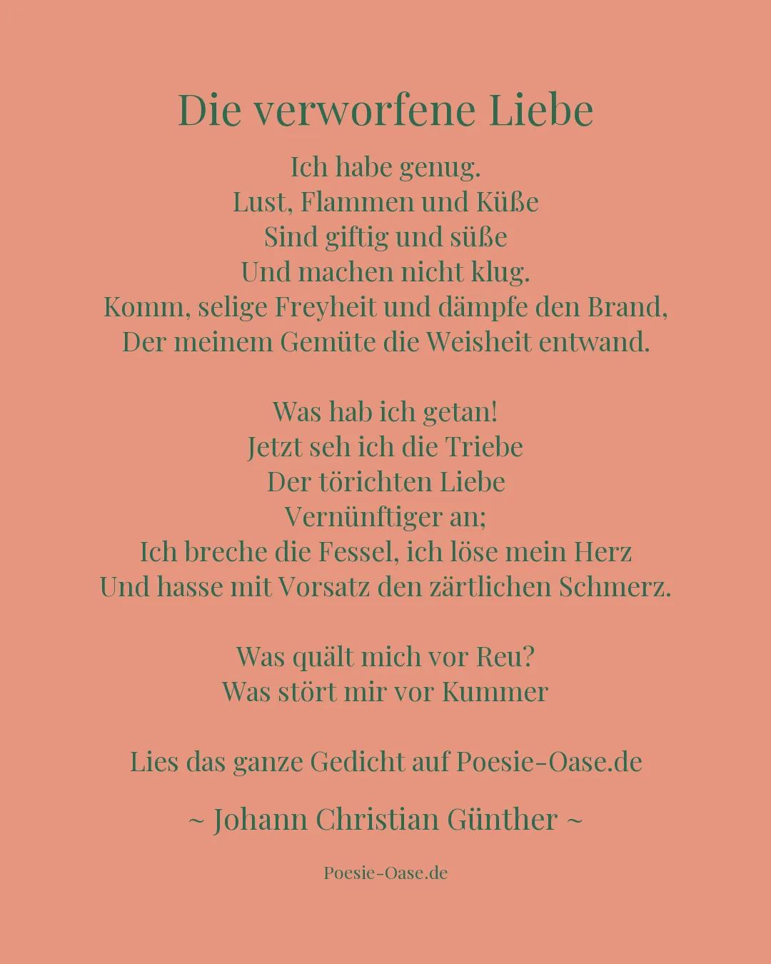 Illustration zu Die verworfene Liebe