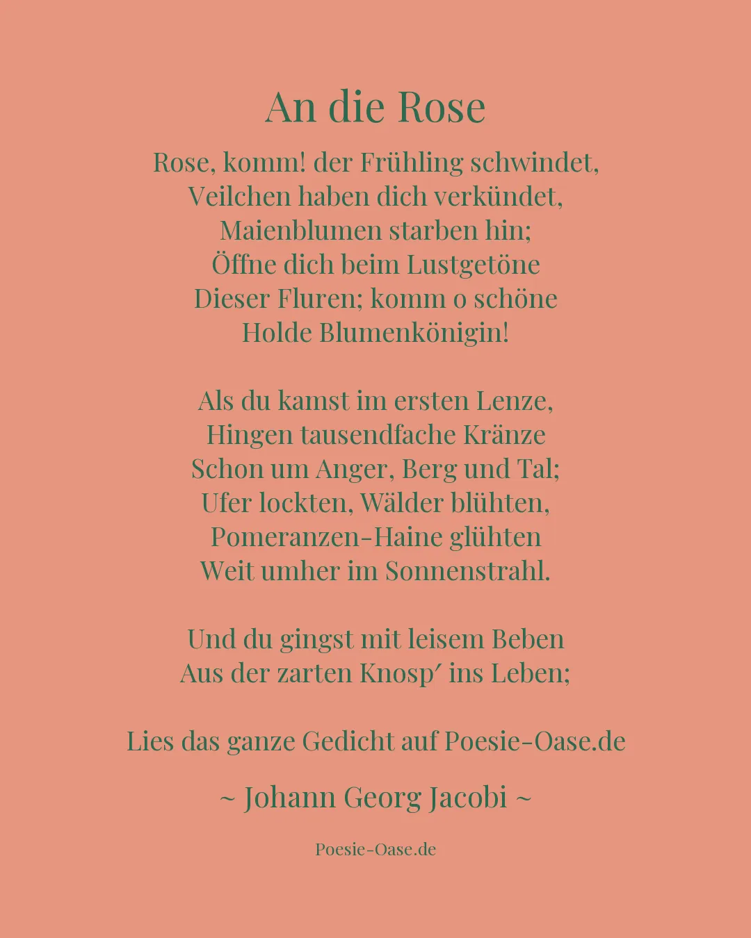 Illustration zu An die Rose
