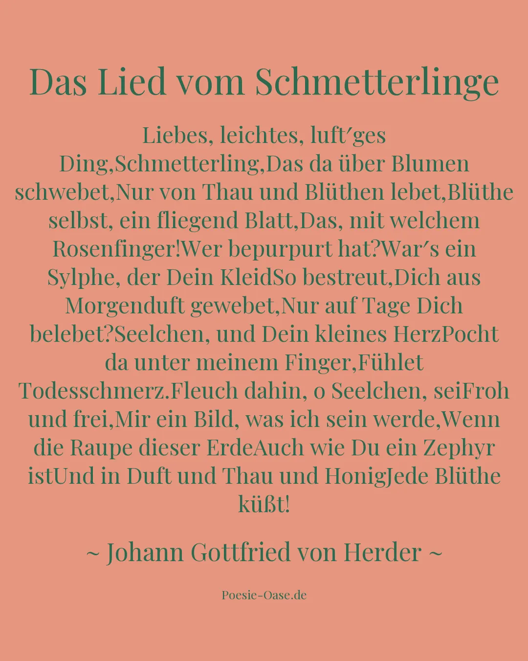 Illustration zu Das Lied vom Schmetterlinge