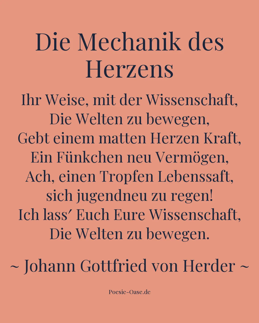 Illustration zu Die Mechanik des Herzens