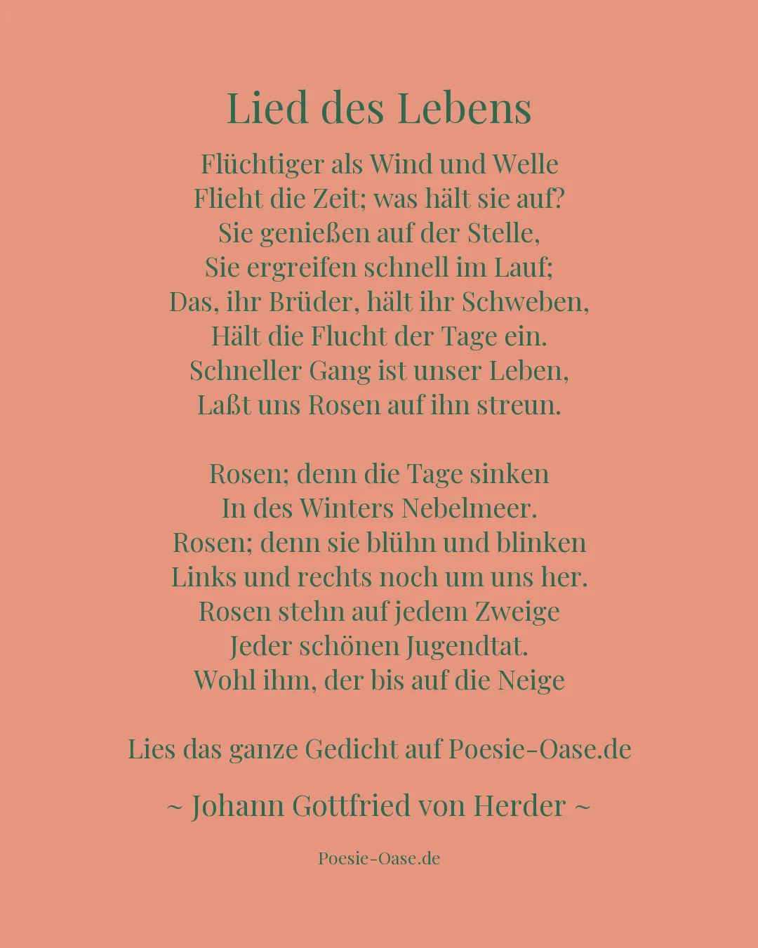 Illustration zu Lied des Lebens