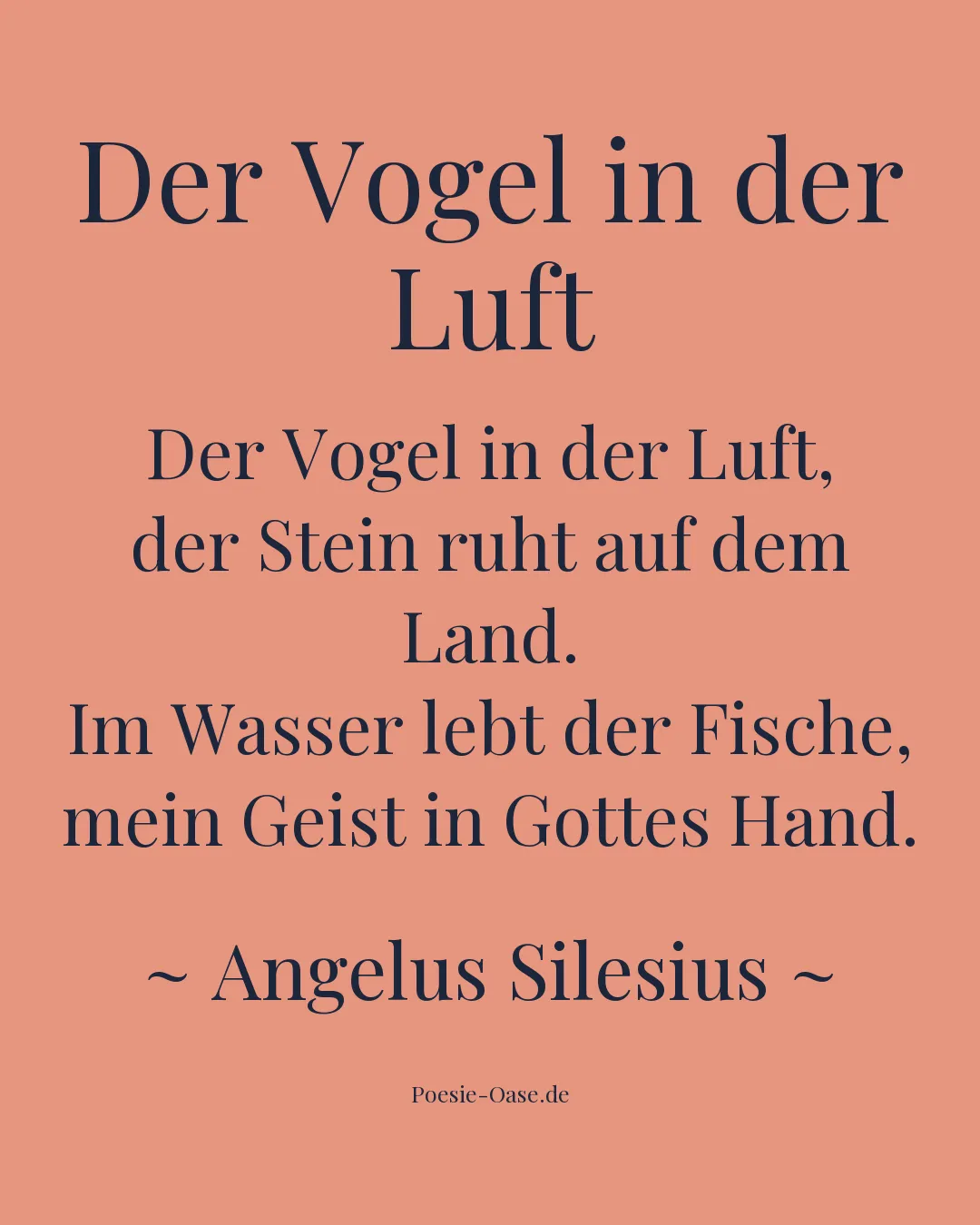 Illustration zu Der Vogel in der Luft