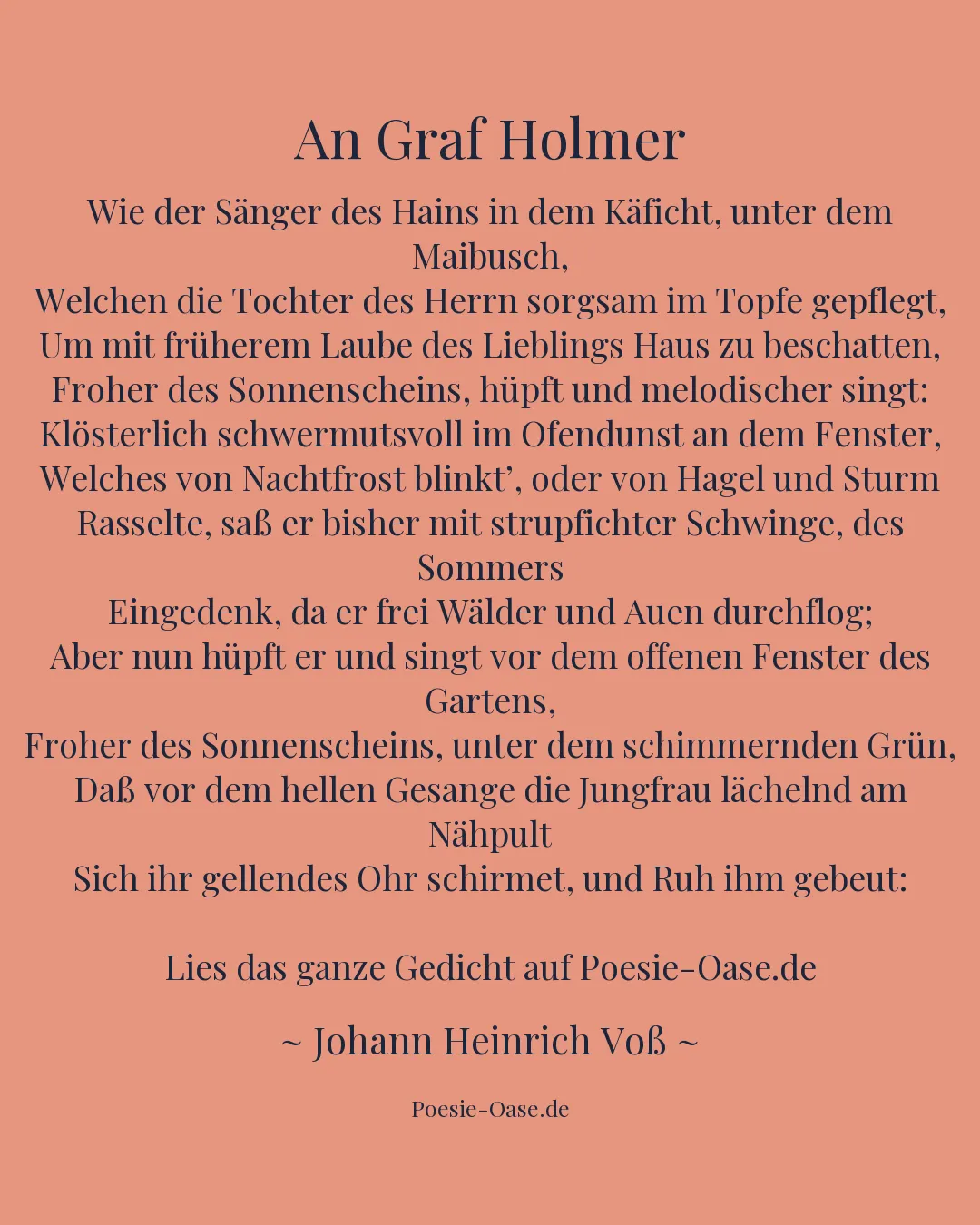 Illustration zu An Graf Holmer