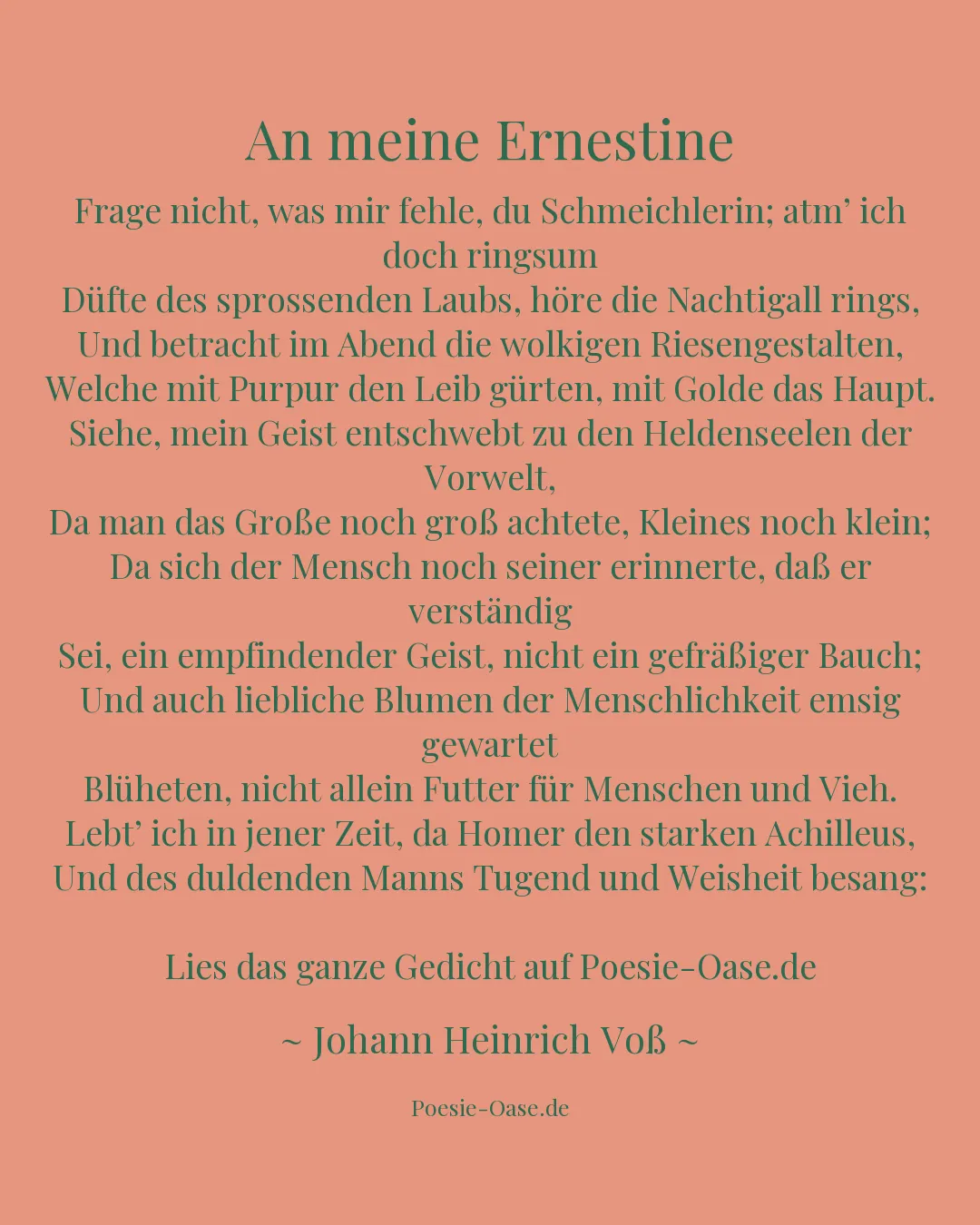 Illustration zu An meine Ernestine