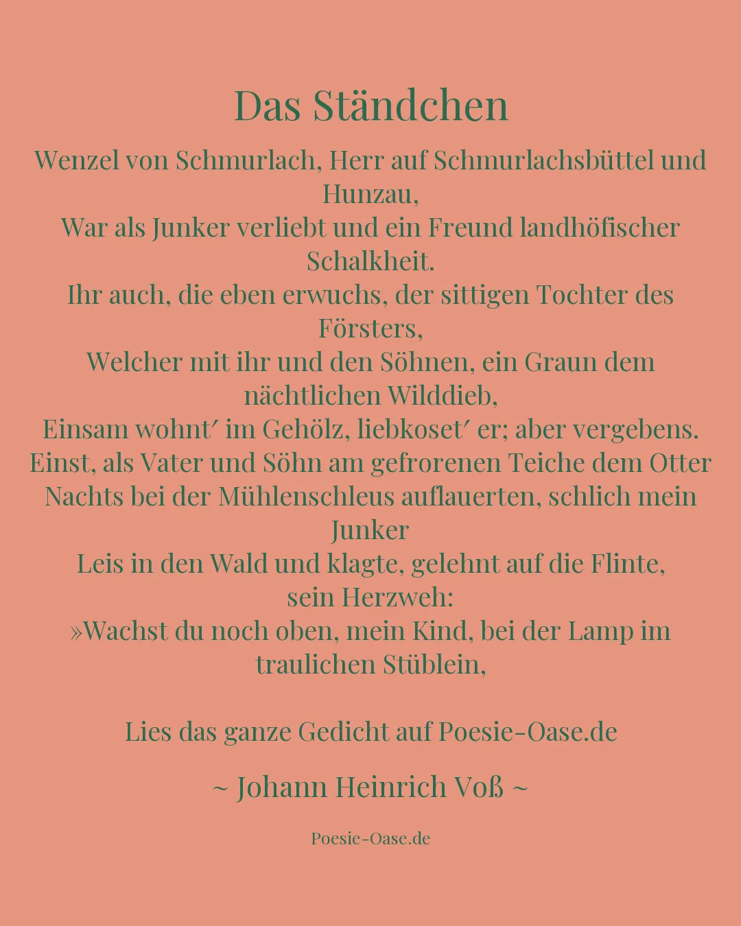 Illustration zu Das Ständchen