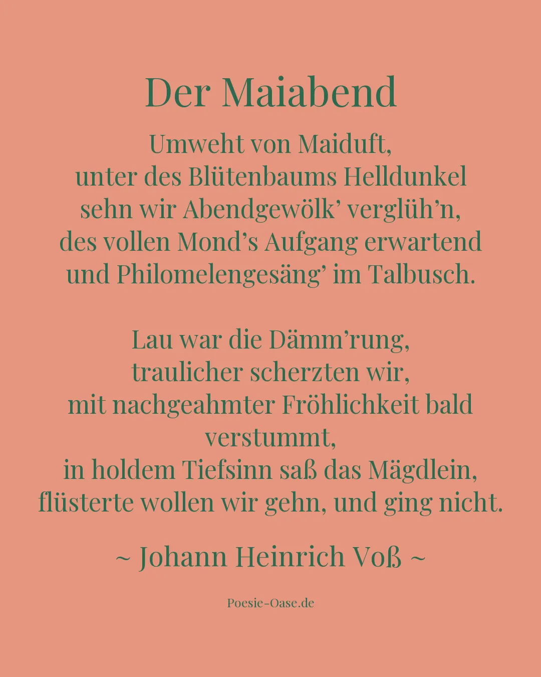 Illustration zu Der Maiabend
