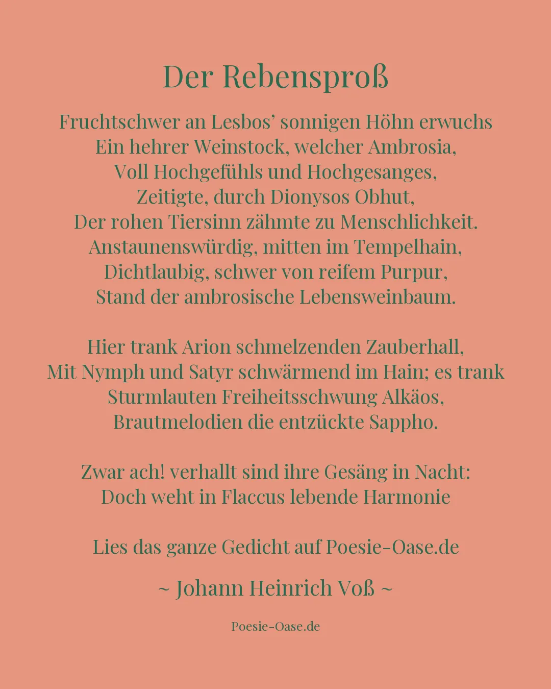Illustration zu Der Rebensproß