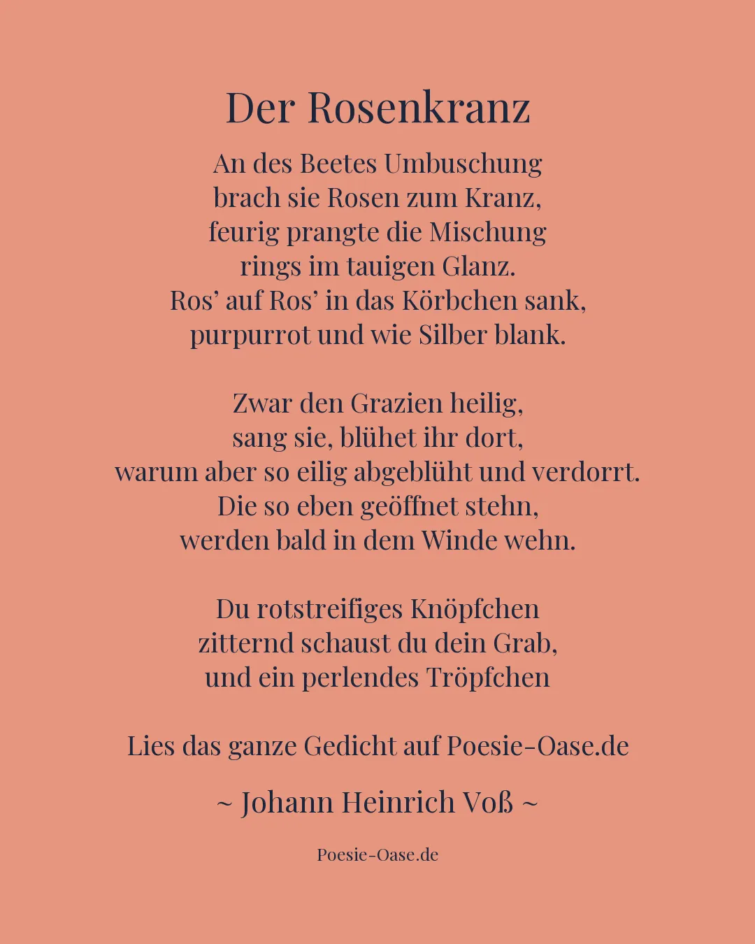 Illustration zu Der Rosenkranz