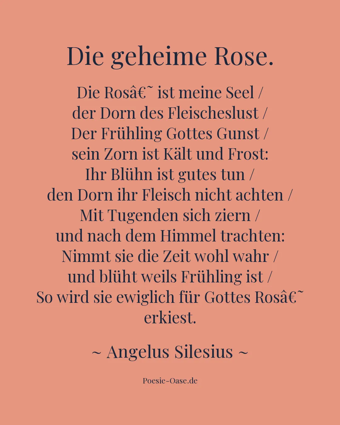 Illustration zu Die geheime Rose.