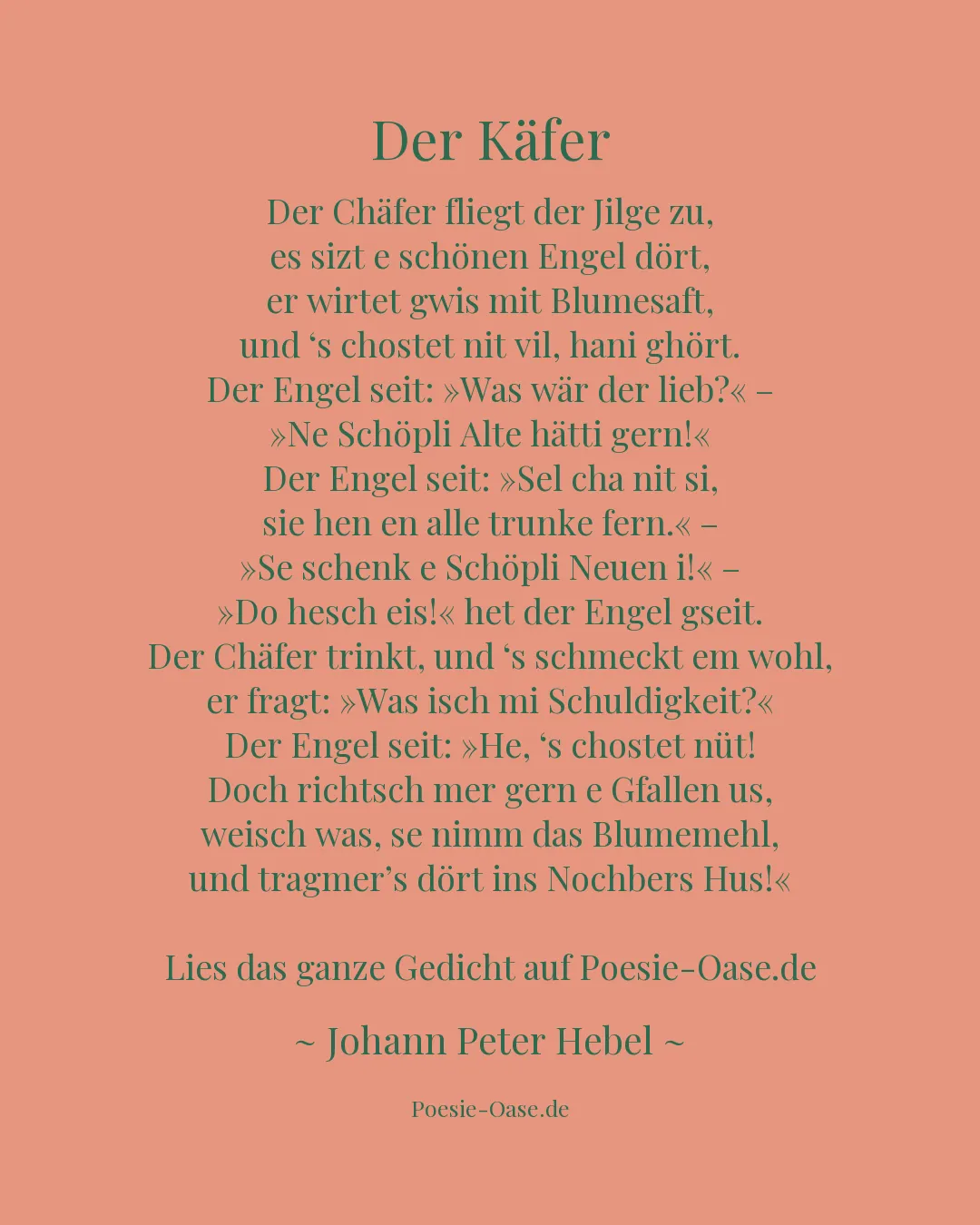 Illustration zu Der Käfer