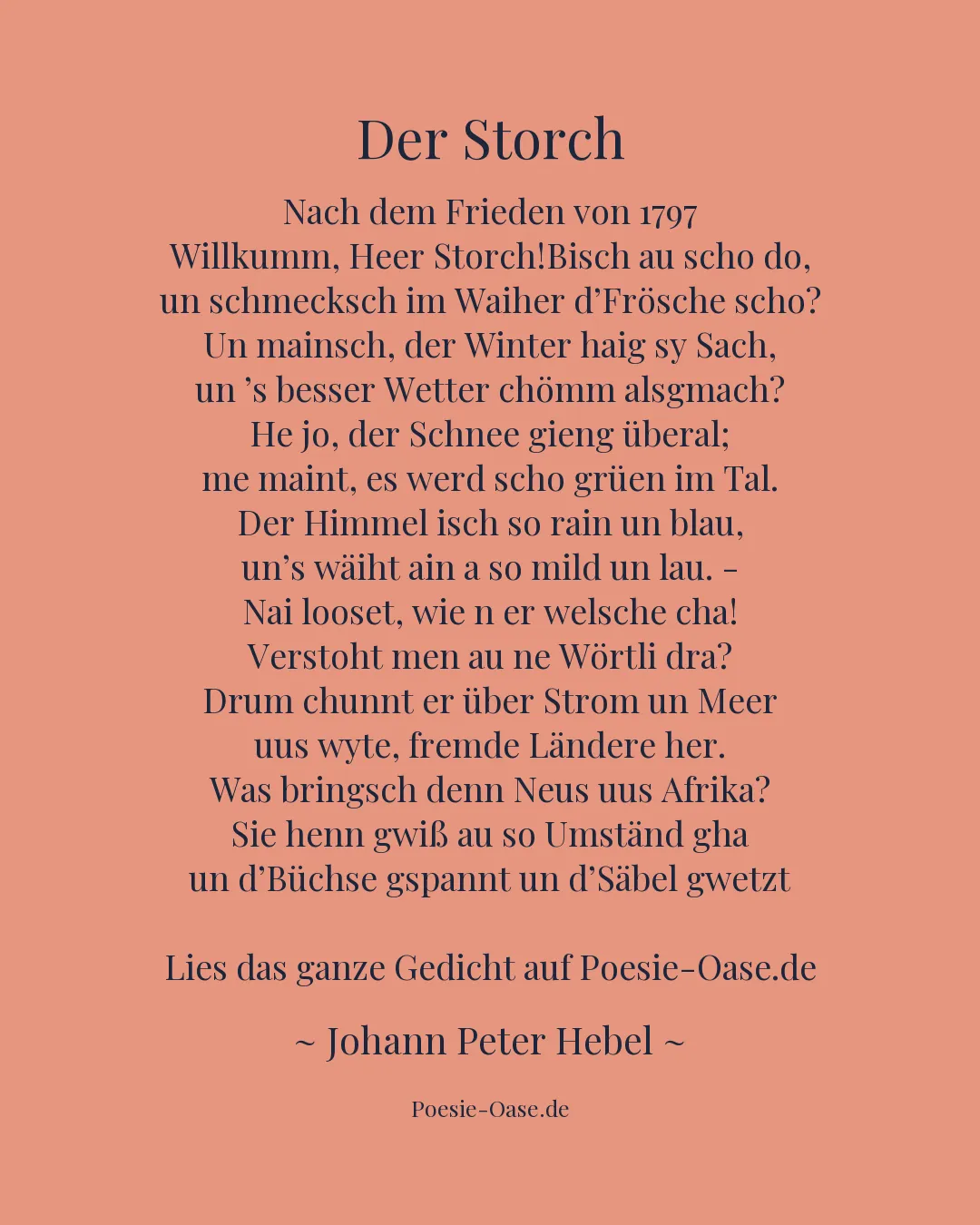 Illustration zu Der Storch