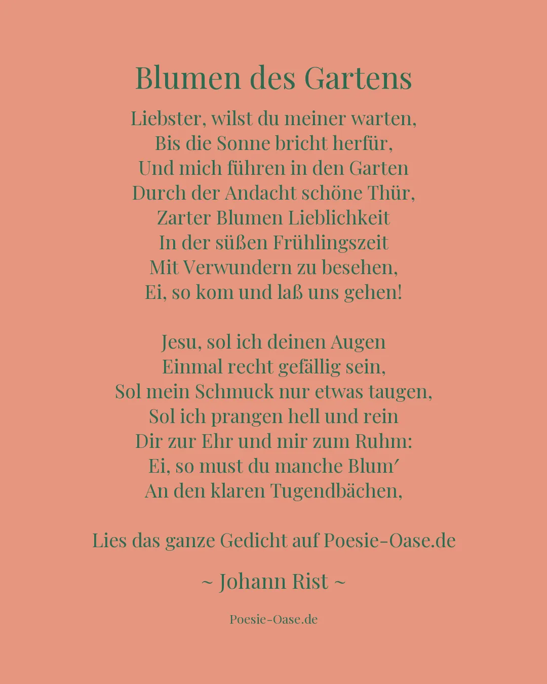Illustration zu Blumen des Gartens