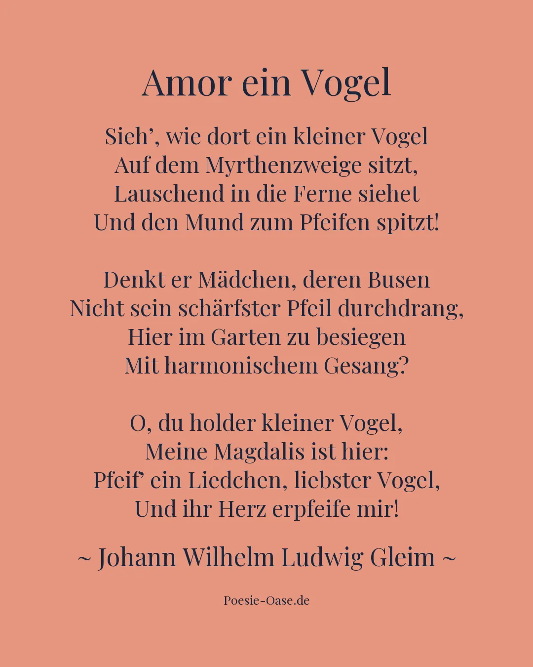 Illustration zu Amor ein Vogel