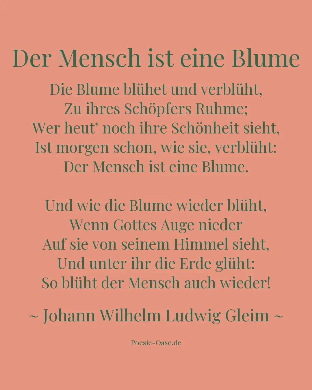 Illustration zu Der Mensch ist eine Blume