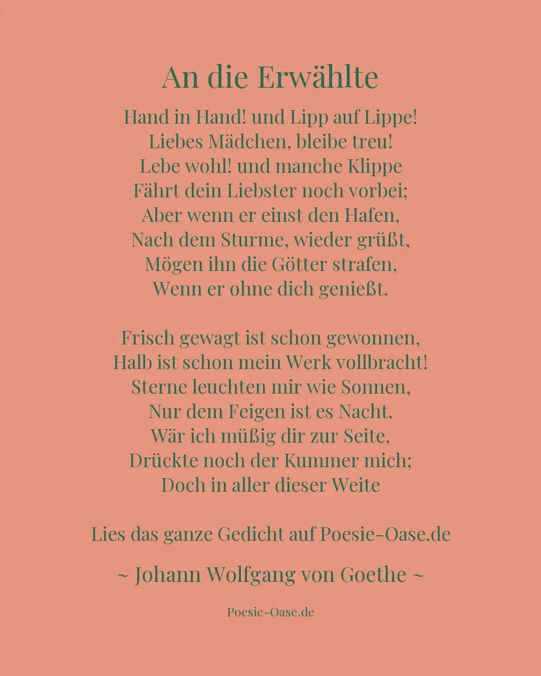 Illustration zu An die Erwählte