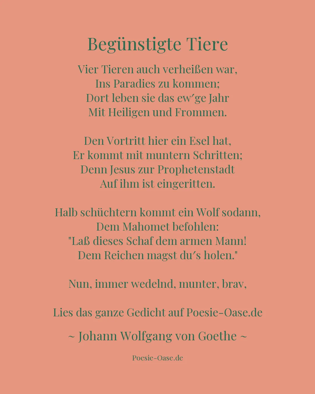 Illustration zu Begünstigte Tiere
