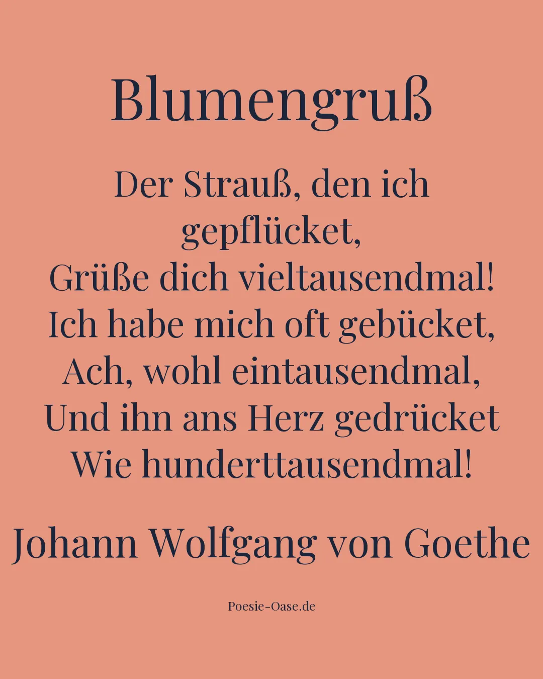 Illustration zu Blumengruß