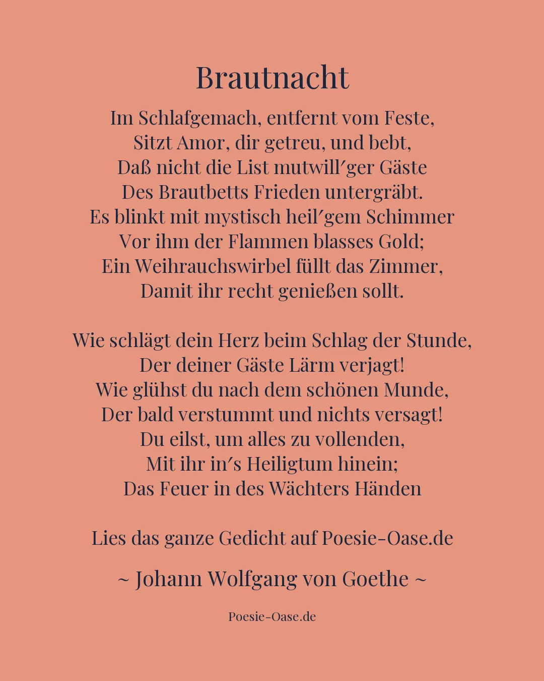 Illustration zu Brautnacht