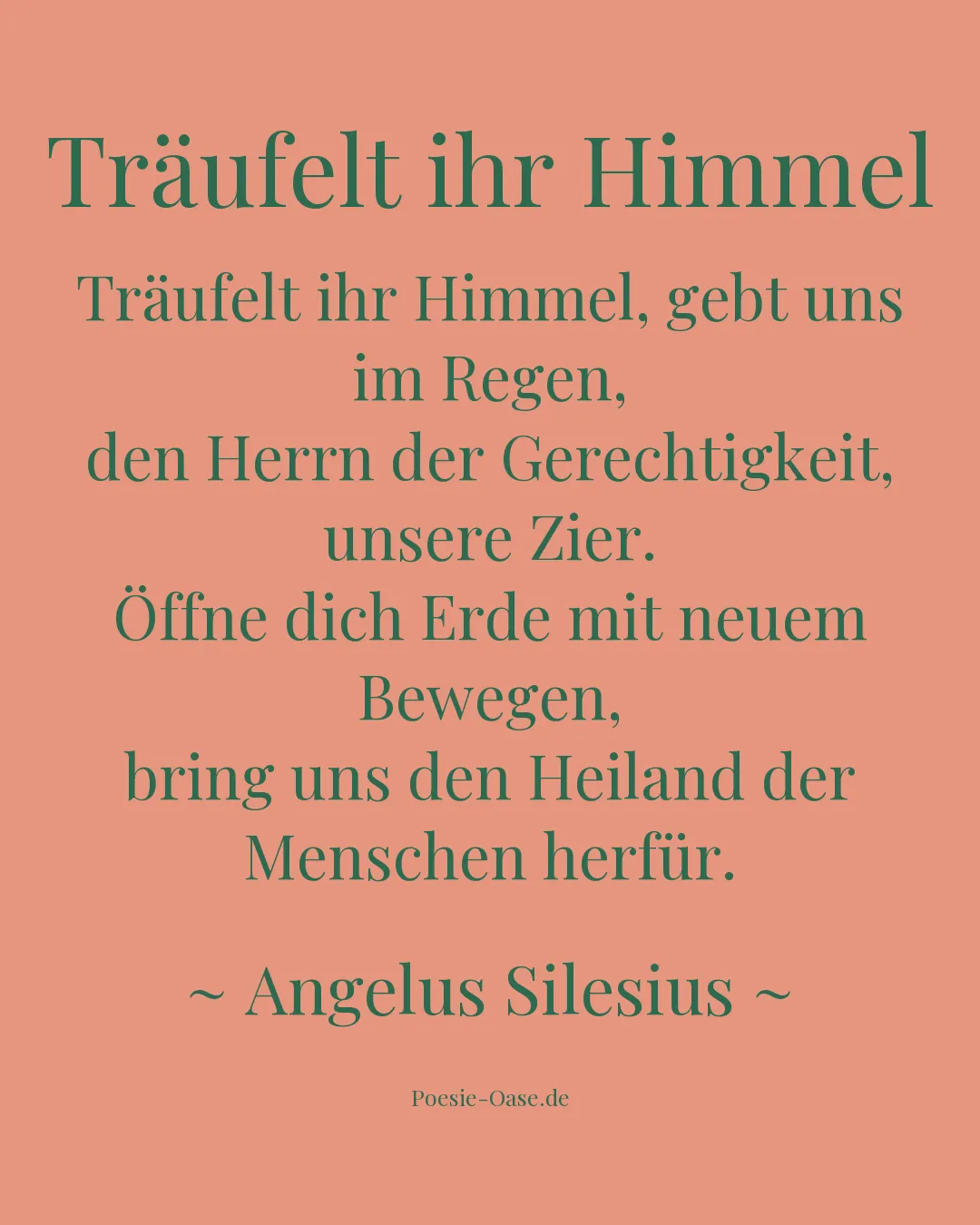 Illustration zu Träufelt ihr Himmel