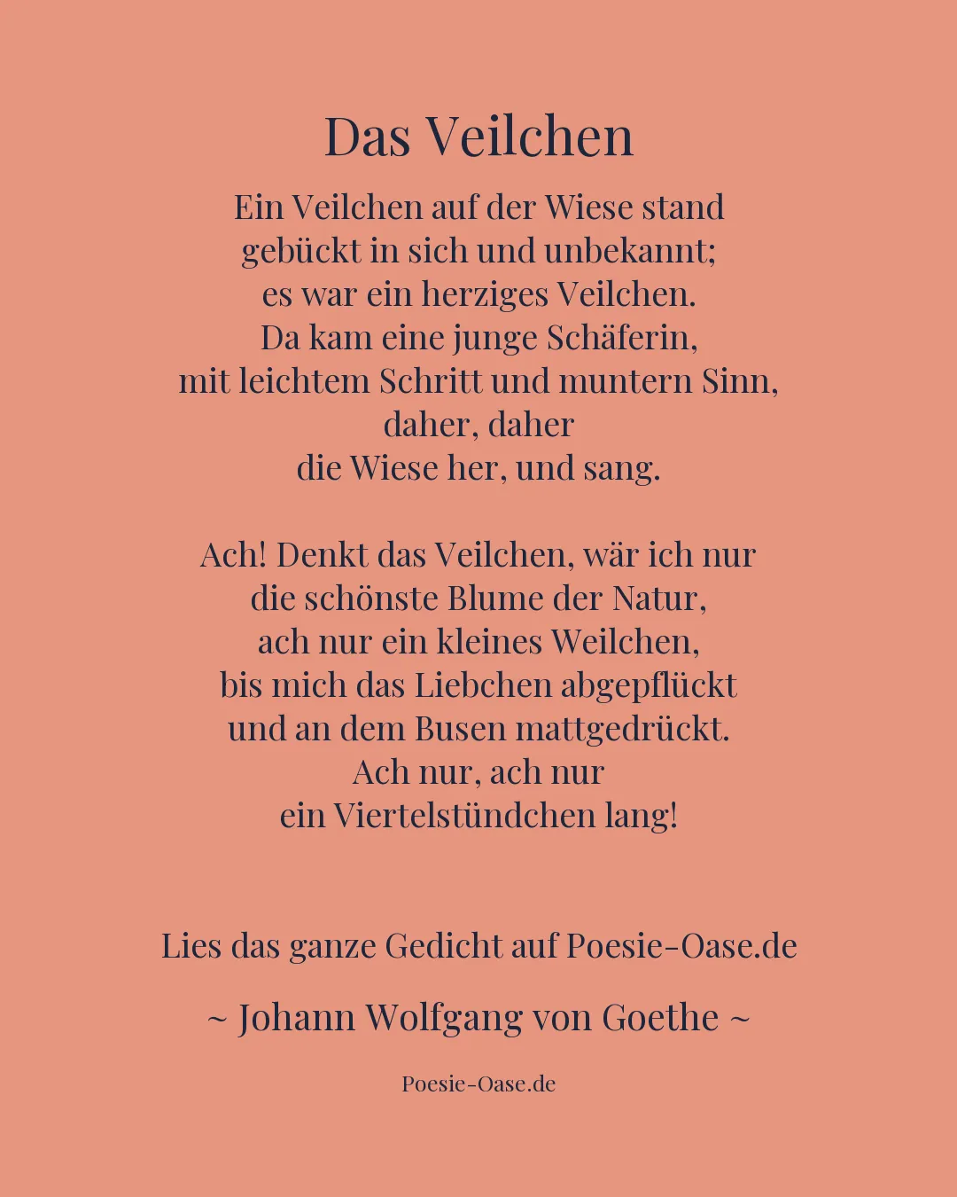 Illustration zu Das Veilchen