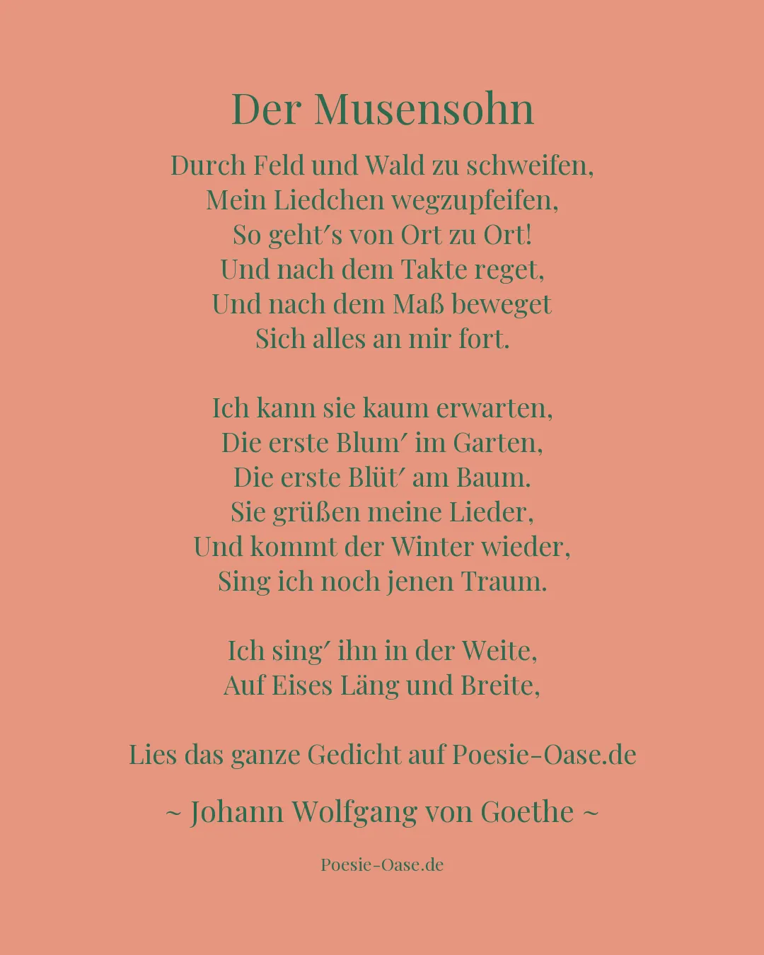 Illustration zu Der Musensohn