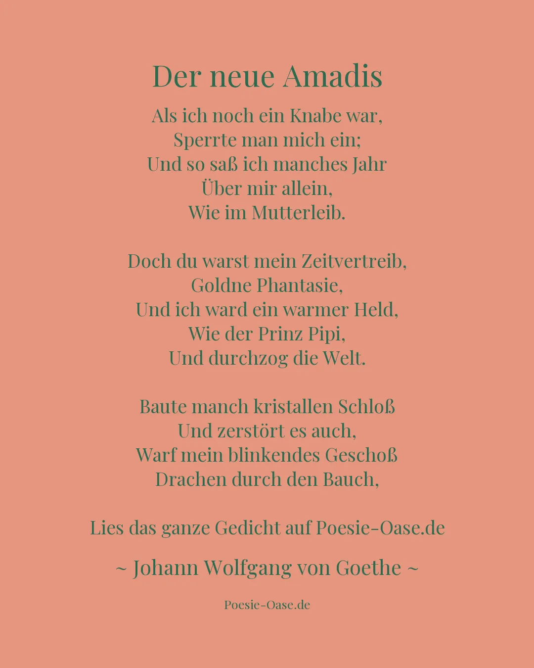 Illustration zu Der neue Amadis