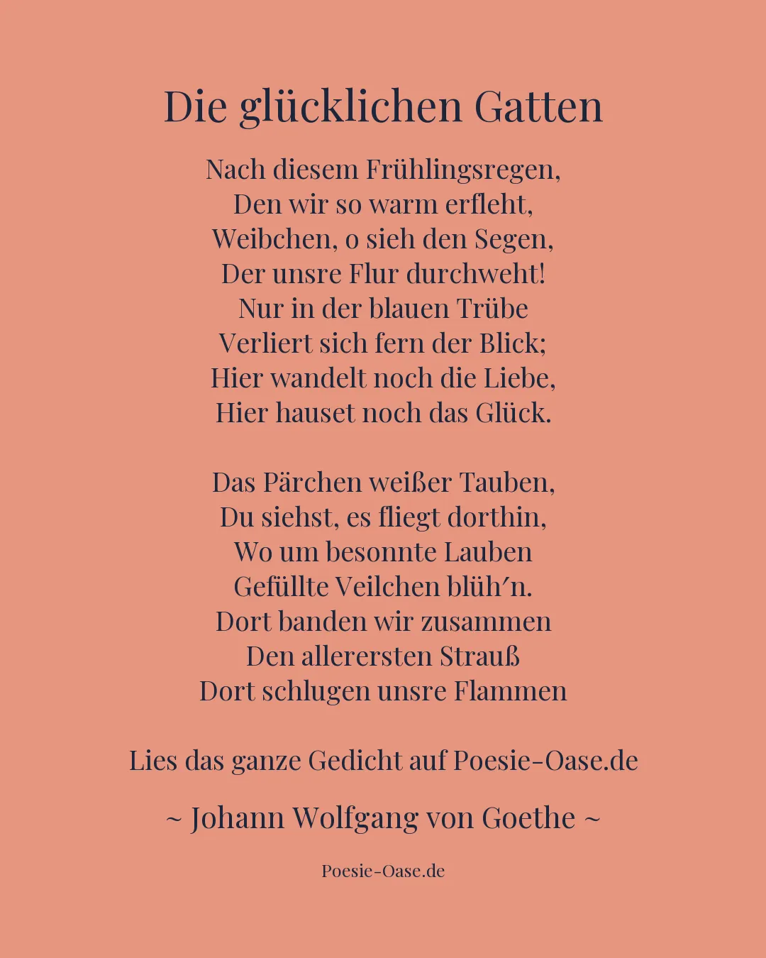 Illustration zu Die glücklichen Gatten