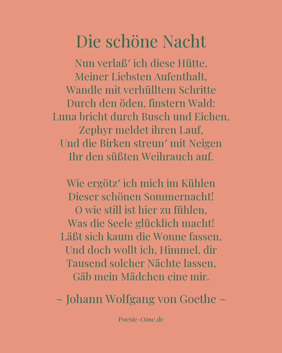 Illustration zu Die schöne Nacht