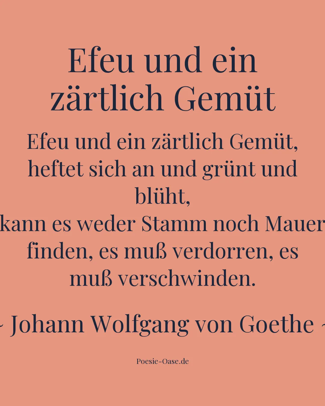 Illustration zu Efeu und ein zärtlich Gemüt