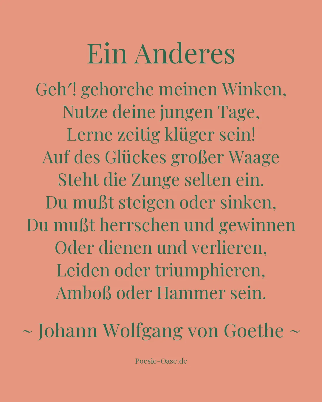 Illustration zu Ein Anderes