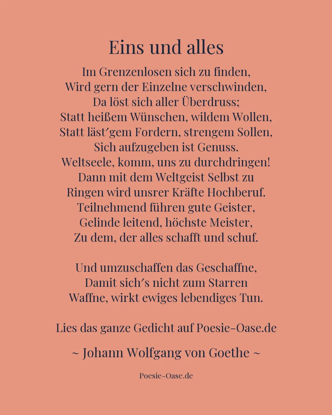 Illustration zu Eins und alles