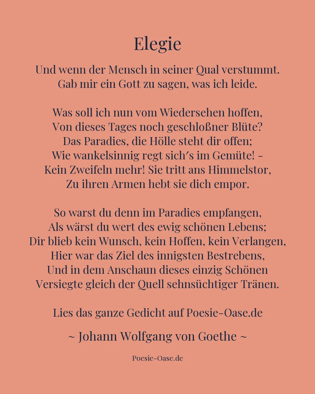 Illustration zu Elegie