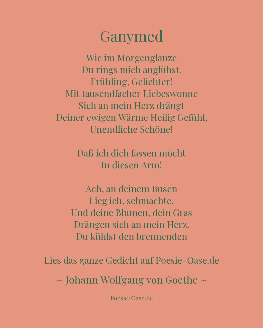 Illustration zu Ganymed