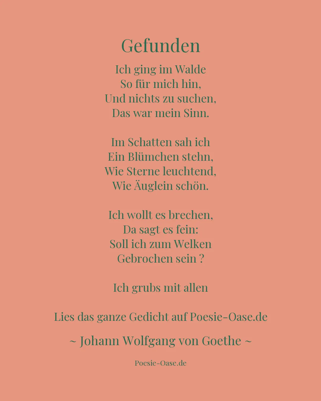 Illustration zu Gefunden