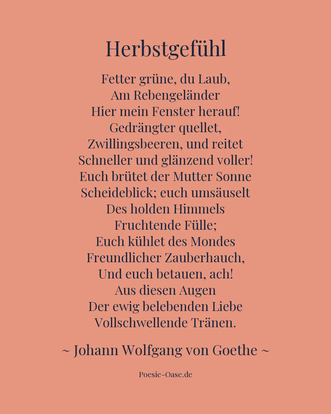 Illustration zu Herbstgefühl