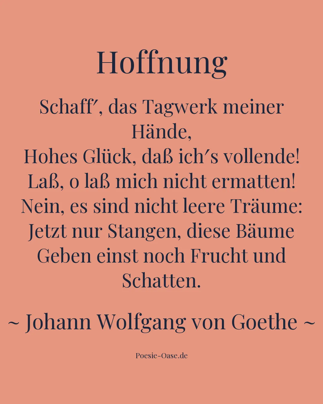 Illustration zu Hoffnung