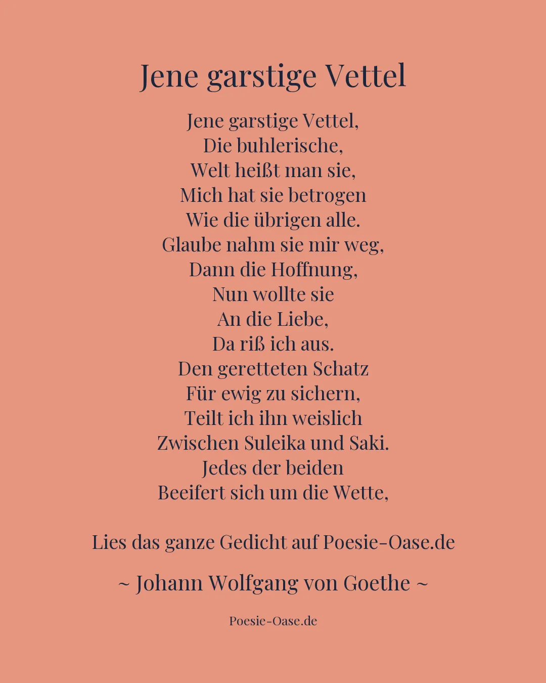Illustration zu Jene garstige Vettel