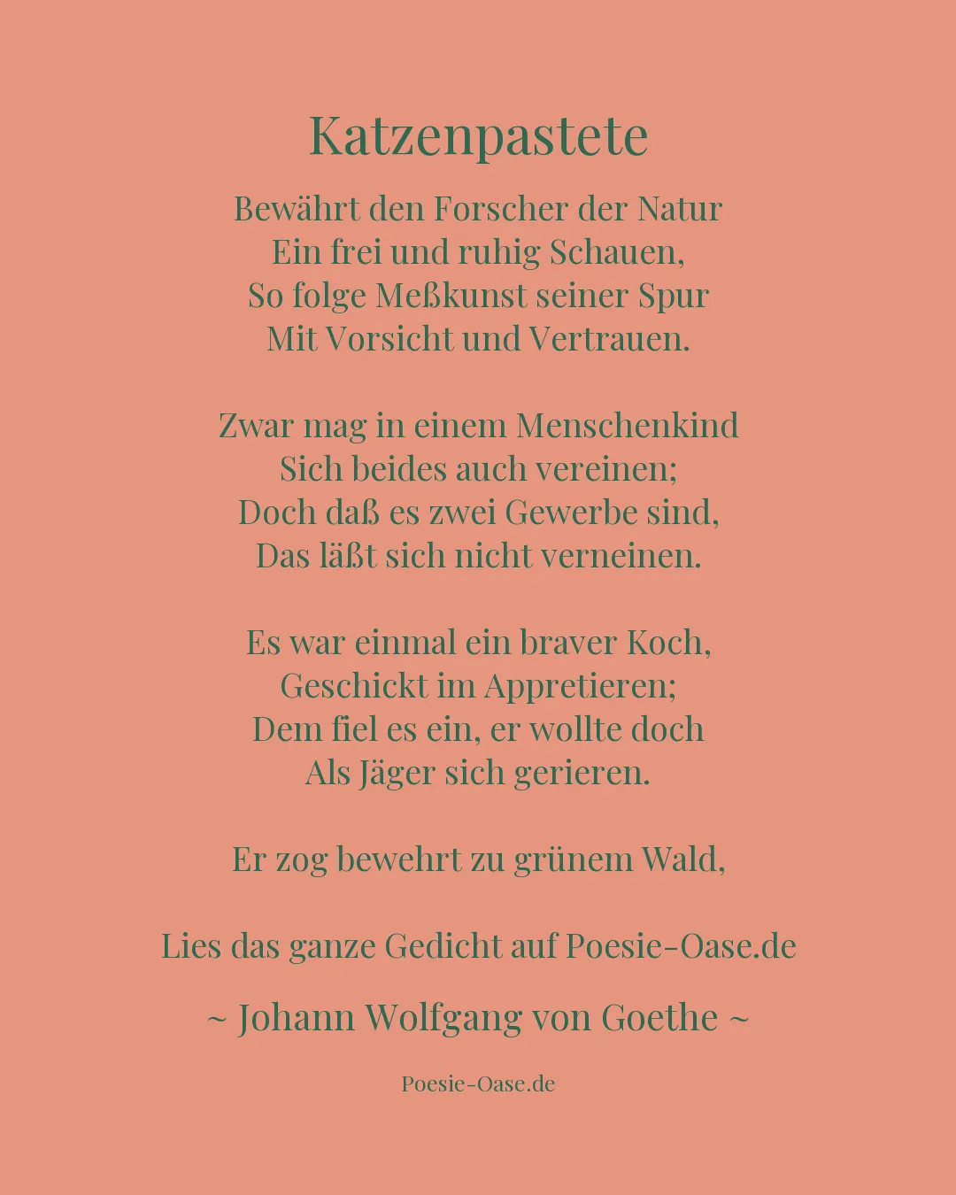 Illustration zu Katzenpastete