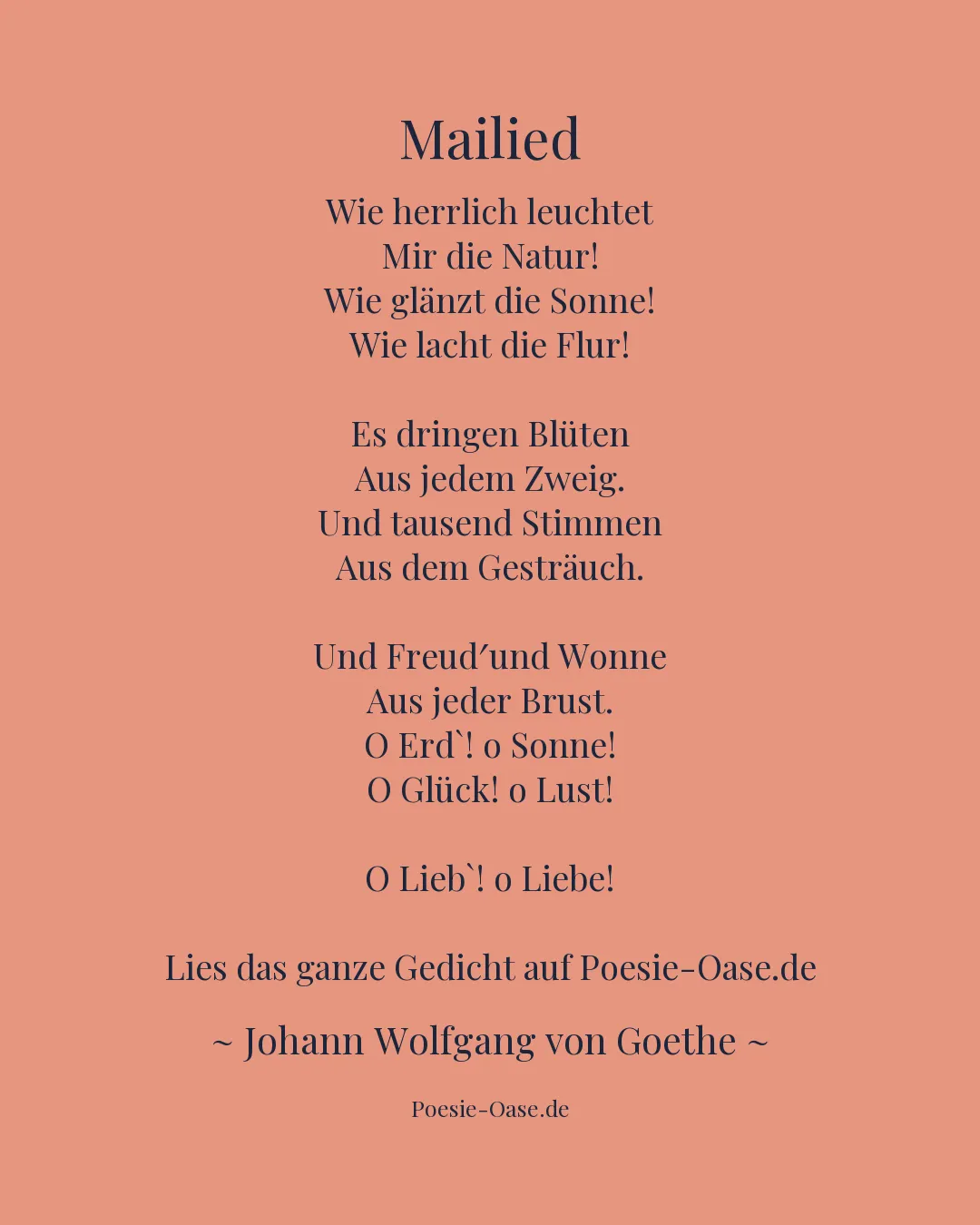 Illustration zu Mailied