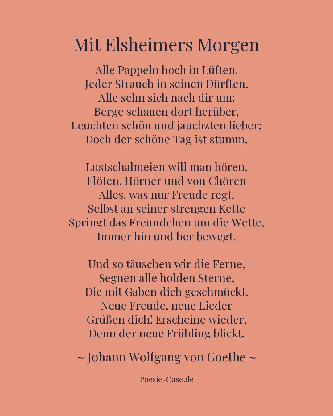 Illustration zu Mit Elsheimers Morgen