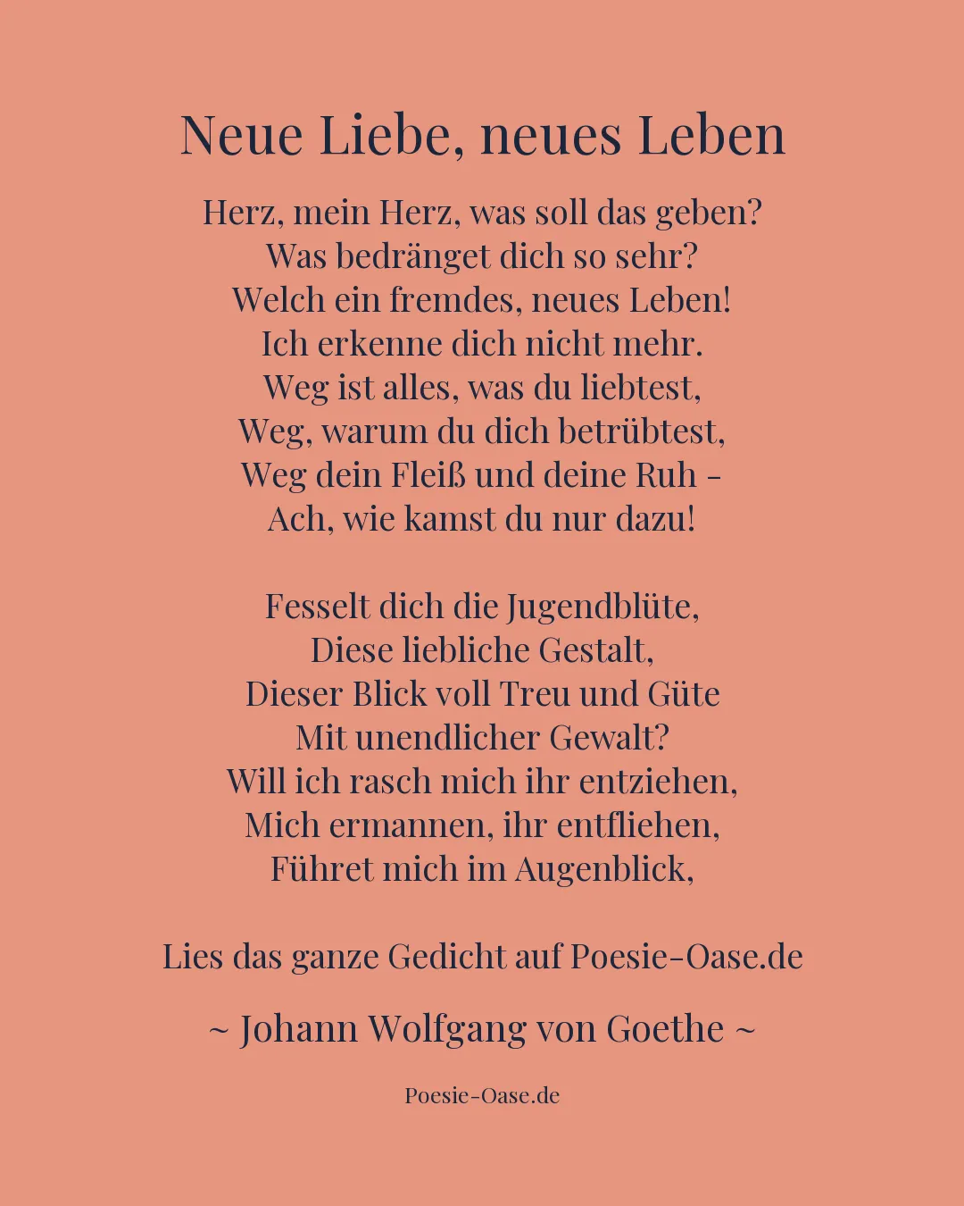 Illustration zu Neue Liebe, neues Leben
