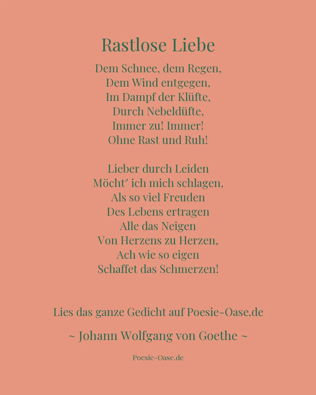 Illustration zu Rastlose Liebe