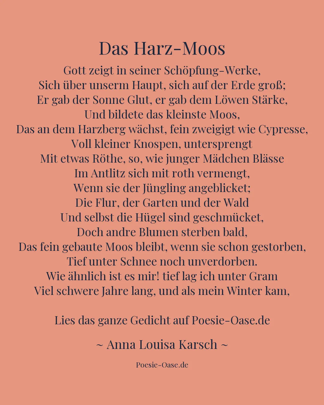Illustration zu Das Harz-Moos
