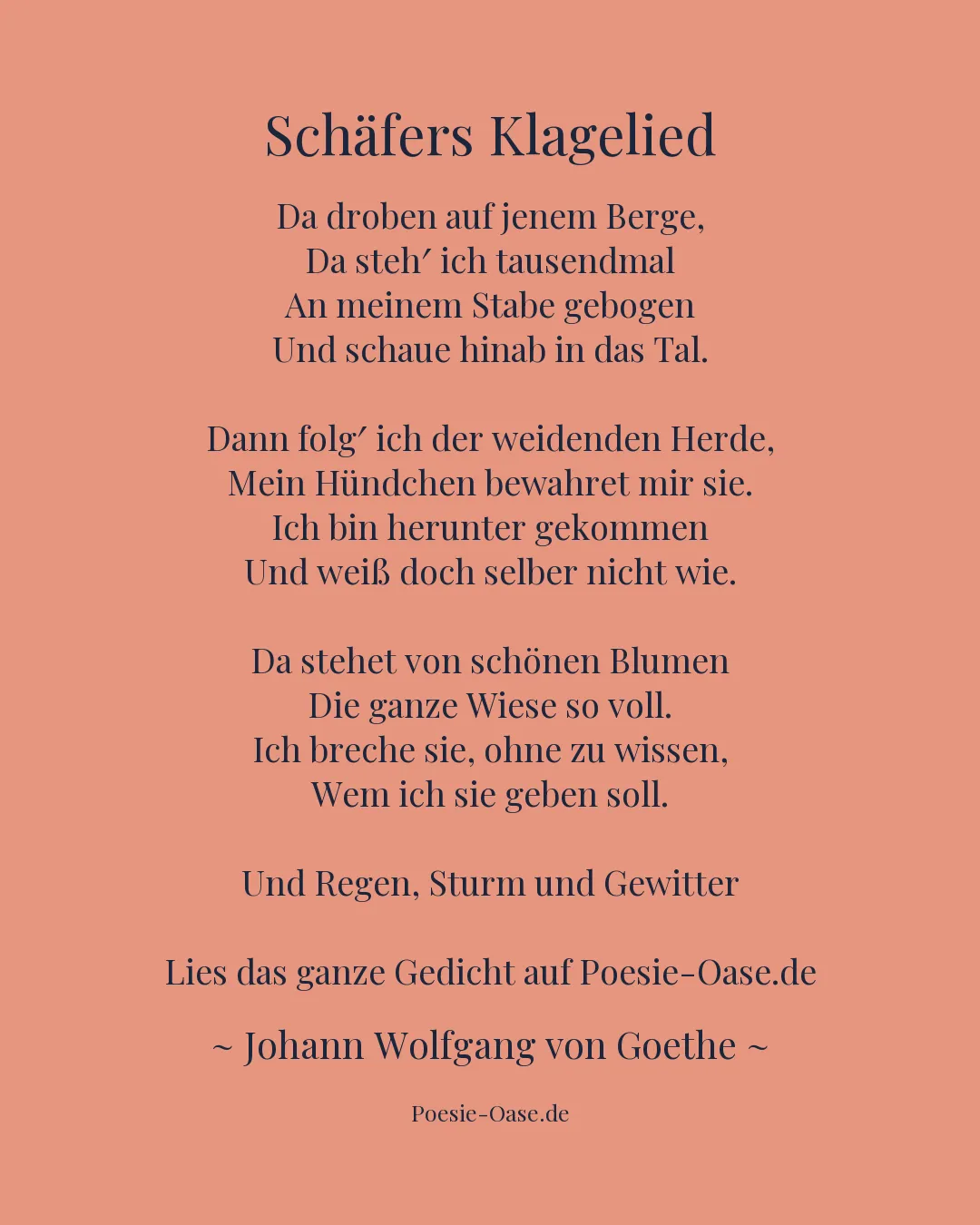 Illustration zu Schäfers Klagelied