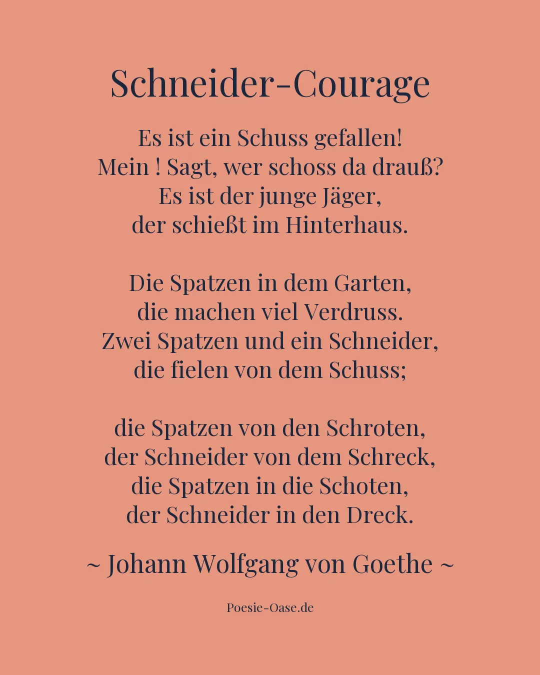 Illustration zu Schneider-Courage