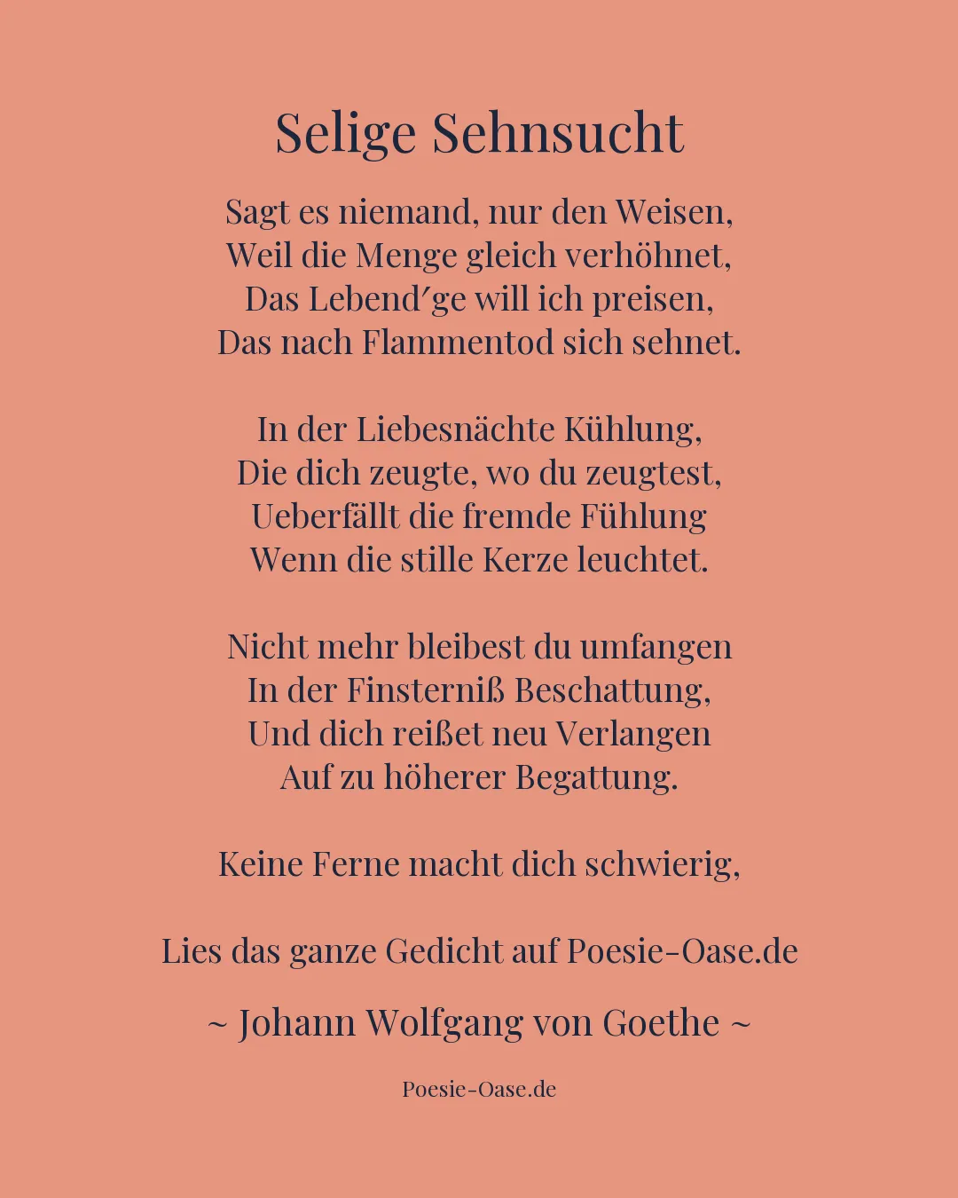 Illustration zu Selige Sehnsucht